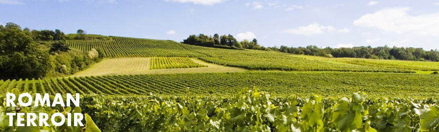 Roman terroir