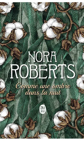 Comme une ombre dans la nuit ( N Roberts