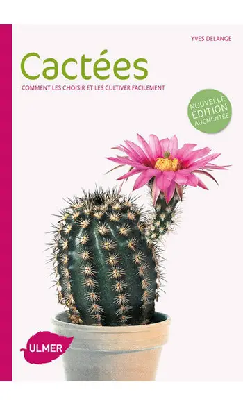Cactées - Comment les choisir et les