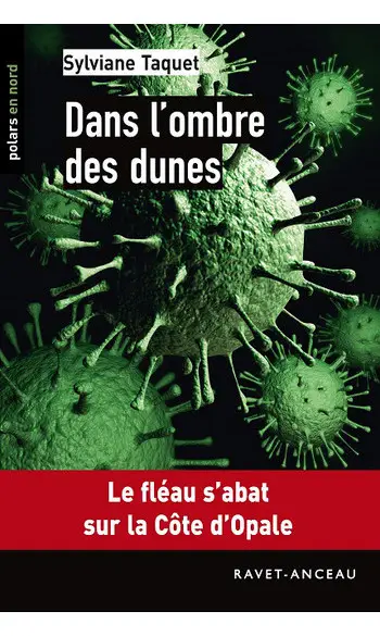 Dans l'ombre des dunes ( Sylviane Taquet