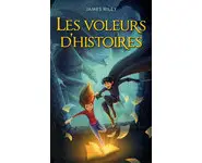 Les Voleurs d'histoires ( James Riley )