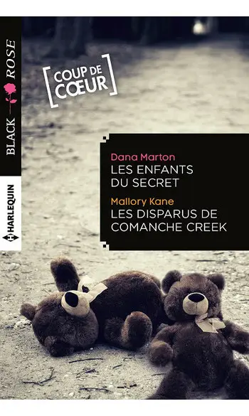 Les enfants du secret - Les disparus de