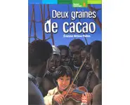 Deux graines de cacao ( Brisou )