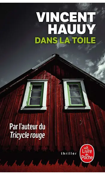 Dans la toile ( Vincent Hauuy )