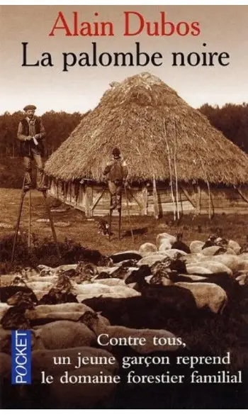 La palombe noire ( Alain Dubos )