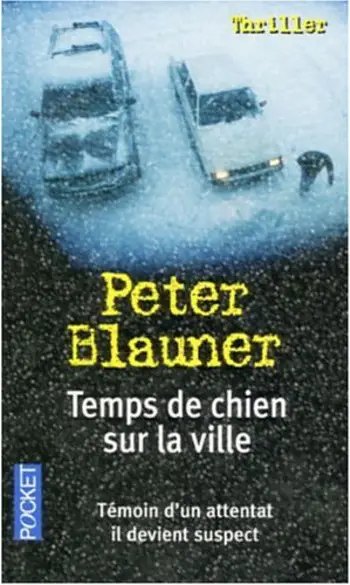 Temps de chien sur la ville ( P . Blaune