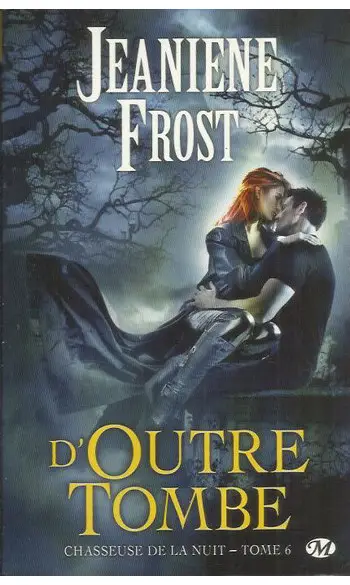 Chasseuse de la Nuit Tome 6 ( J Frost )