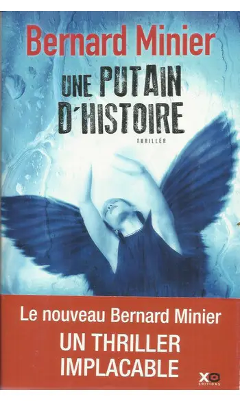 Une putain d'histoire ( Bernard Minier )