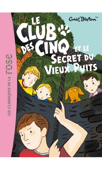 Le Club des Cinq et le secret du vieux p