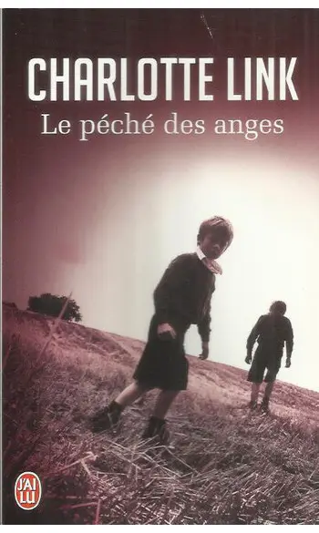 Le péché des anges ( Charlotte Link )