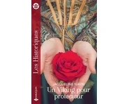 Un Viking pour protecteur ( J Navin )