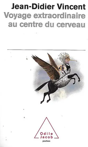 Voyage extraordinaire au centre du cerve