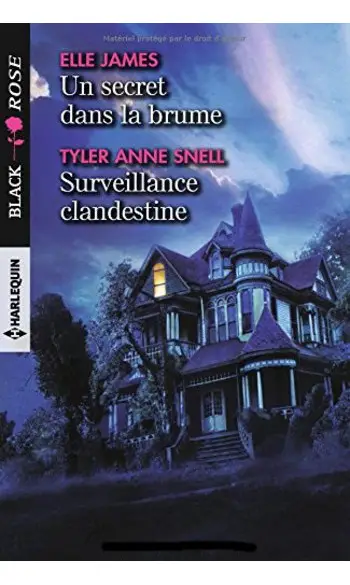 Un secret dans la brume - Surveillance c