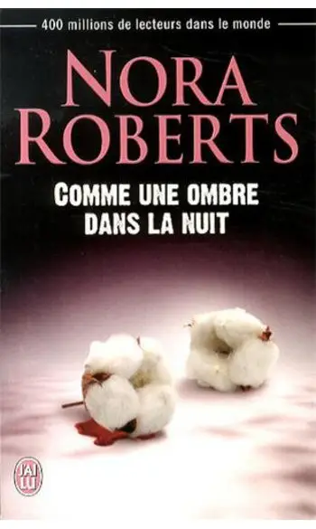 Comme une ombre dans la nuit
