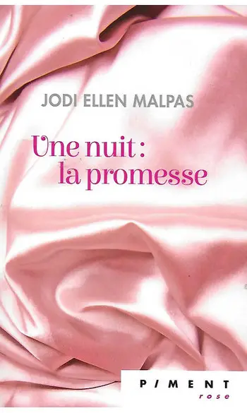 Une nuit : la promesse ( Ellen Malpas )