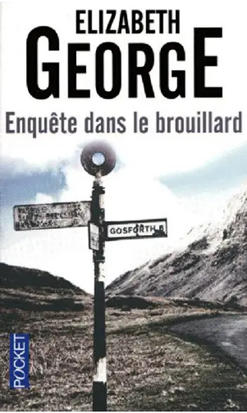 Enquête dans le brouillard ( E .GEORGE )