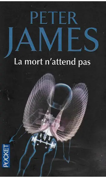 La mort n'attend pas ( Peter JAMES )
