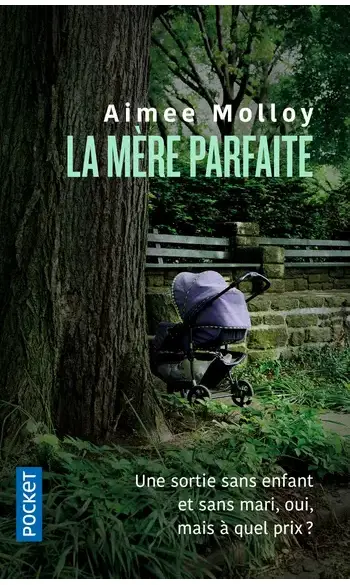 La Mère parfaite ( Aimée Molloy )