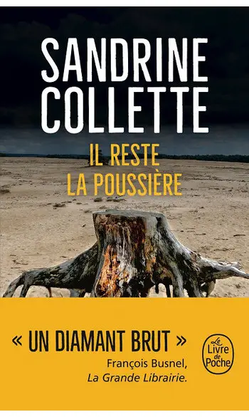 Il reste la poussière ( Sandrine Collett