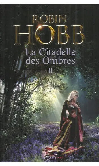 La Citadelle des Ombres, Tome 2 ( Robin