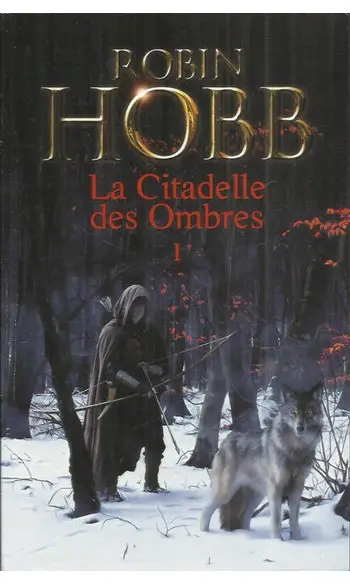 La Citadelle des Ombres, Tome 1 ( Robin