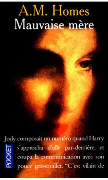 Mauvaise mère ( A-M Homes )