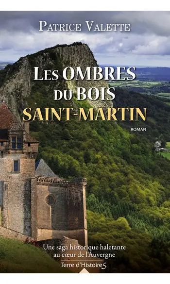 Les ombres du bois Saint-Martin