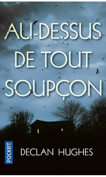 Au-dessus de tout soupçon ( Declan HUGHE